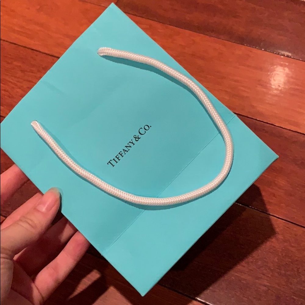 Tiffany & Co Small Bag